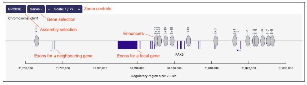 Web-app interface with annotations