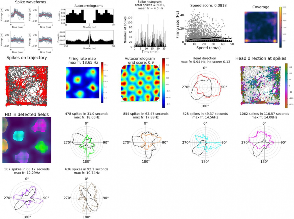 Example output of analysis pipeline for a grid cell (Gerlei et al. 2020).
