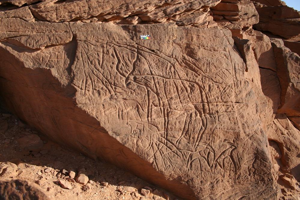Example image from the Wadi al-Ajal Rock Art Project, Libya